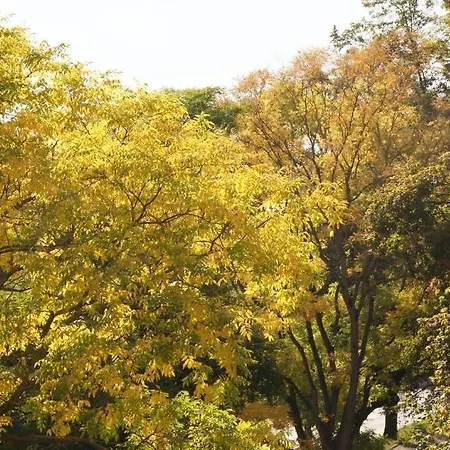 Keilbach Sindelfingen